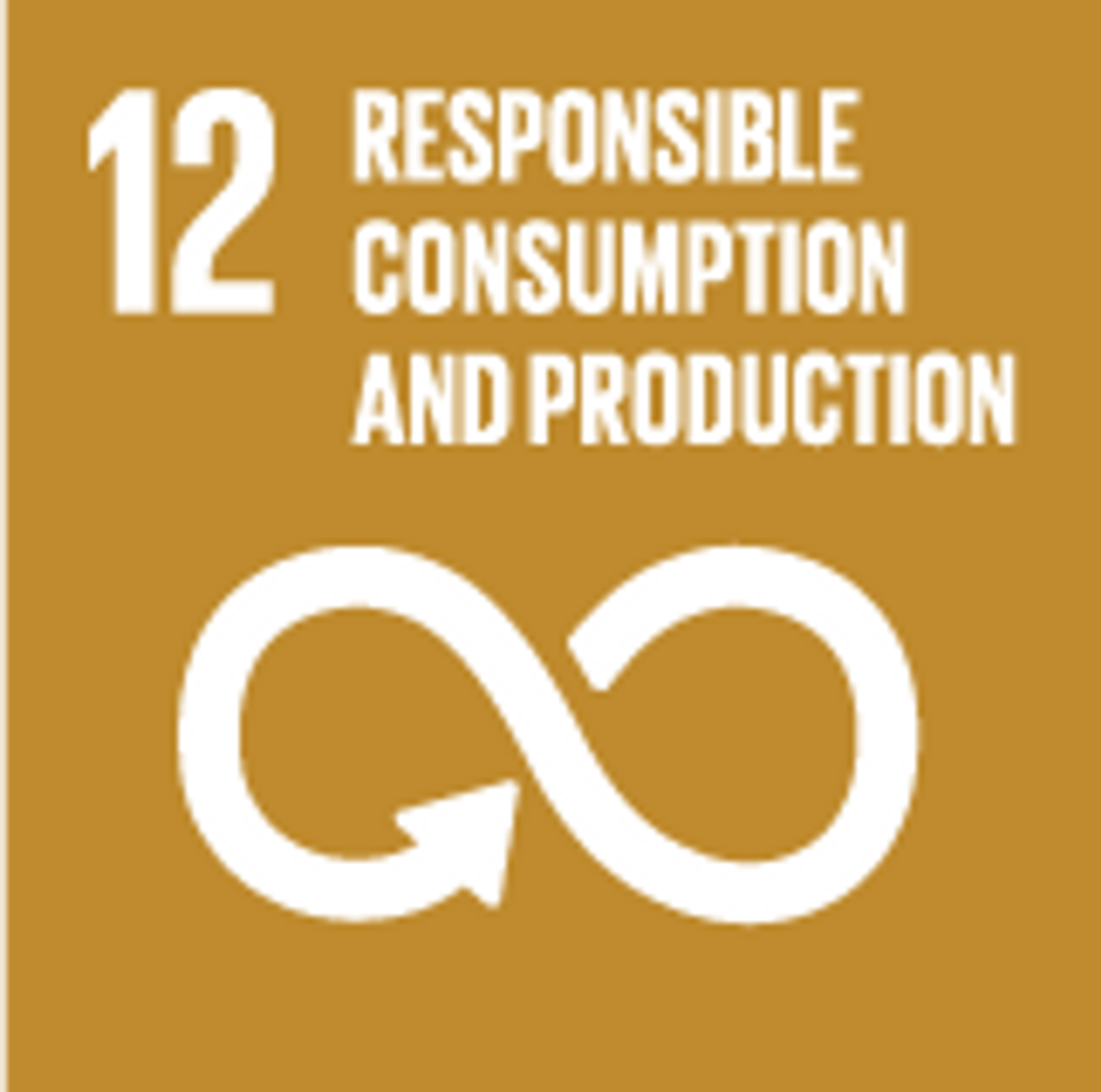 Global Goals _12 goal responsible consum